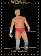 1991 Championship Marketing WCW Wrestling Card #90 Barry Windham