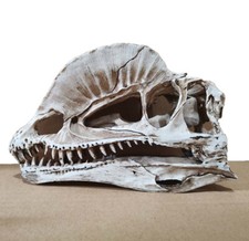 Halloween Dilophosaurus Skull Sculpture Model Skeleton Resin Animal Skull Model