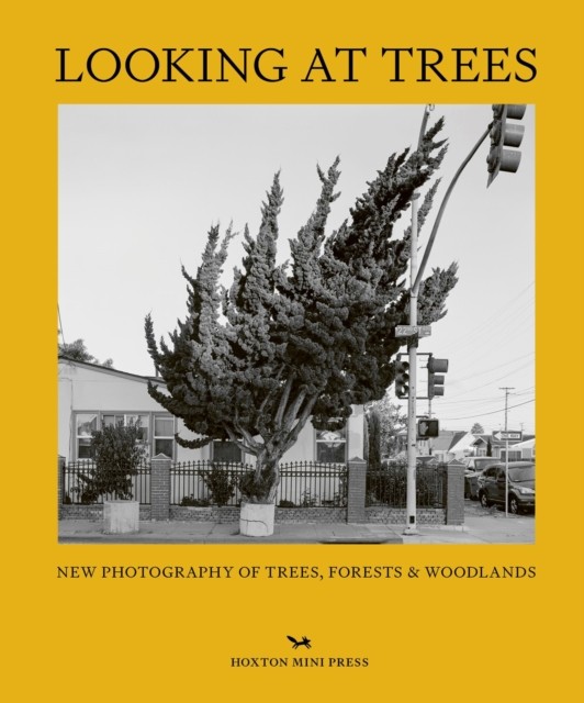 Looking At Trees by Sophie Howarth (Hardback Book)