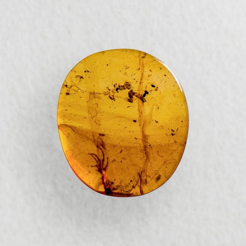Burmite amber fossil LIZARD PAW (bones & skin) inclusion in Burmese - Picture 4 of 4