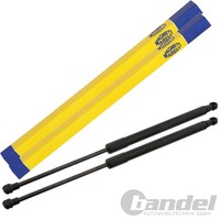 2X Magneti Marelli Gasfeder KOFFERRAUM-LIFTER Hinten Passend FüR Toyota Yaris