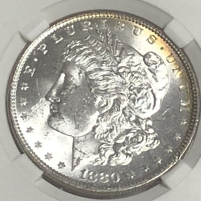 1880 Morgan ''UNC/MS64'' Nice Details-Hair, Feathers, Wings/ EDGE TONING    