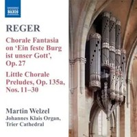 SäMtliche Orgelwerke Vol.8 | Max Reger | Audio-Cd | CD | 2008 | Naxos