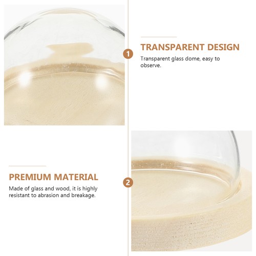 3 Pcs Display Case for Collectibles Clear Glass Dome Cover Small Miniatures - 第 4/12 張圖片