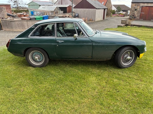 Image Placeholders2_edited.jpg