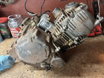 2008 Yamaha Raptor 250 Engine