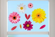 20 Stk. Fenster-Bilder Blumen-Motive Gerbera Glas ablösbar Spiegel selbsthaftend