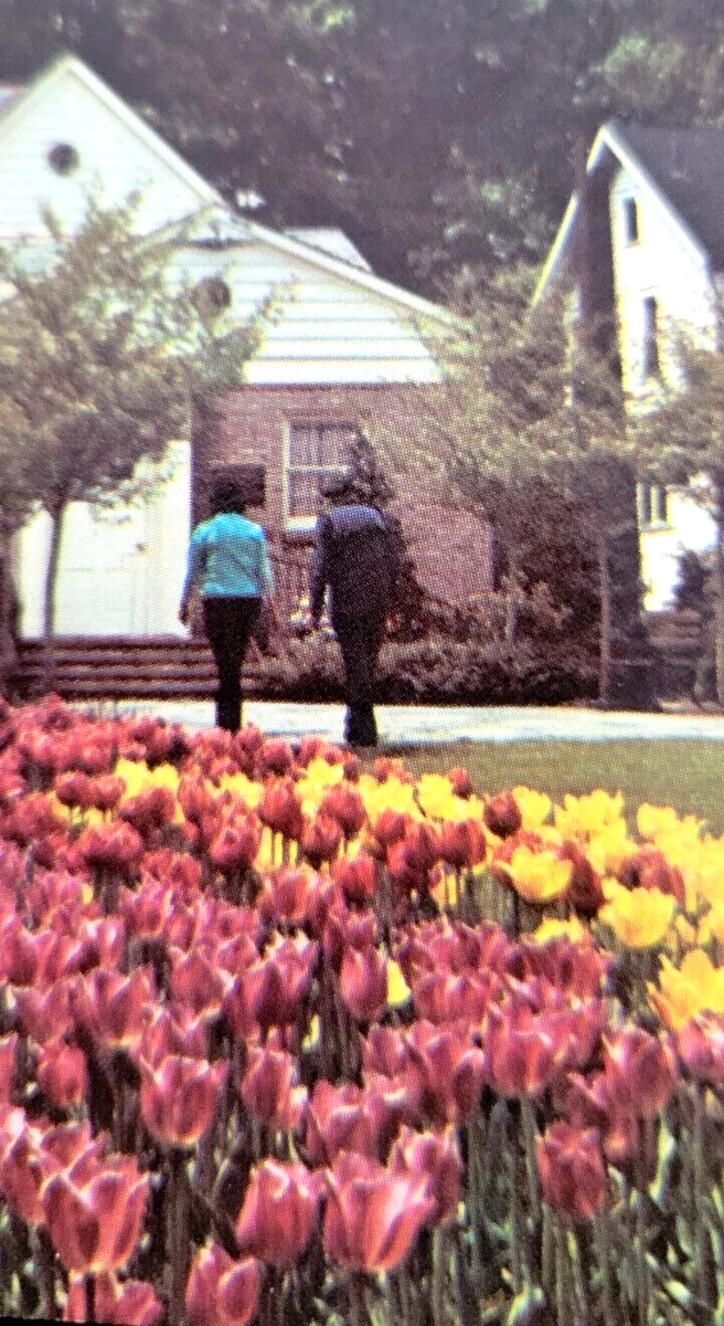 Flower Garden In Youngstown Ohio Best Flower Site