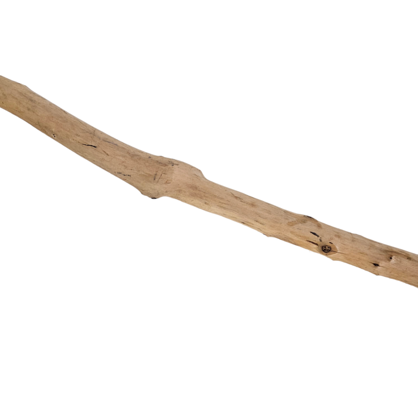 Hand Carved Wizard Walking Stick Dog Wood Hiking Stic… Gem