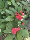 Bild 15 von 19