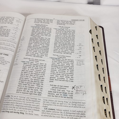 Scofield Study Bible III NIV Centennial Edition Thumb Index Brown Leather - Picture 15 of 24