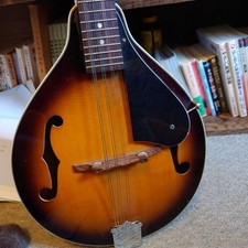 Aria flat mandolin AM200 8 string