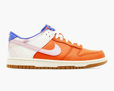Nike Dunk Low GS Everything You Need 7Y FN0600-801 *MAKE AN OFFER*