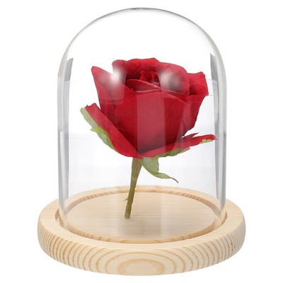 Glass Display Dome, 4.7'' x 3.5'' Natural Display Case
