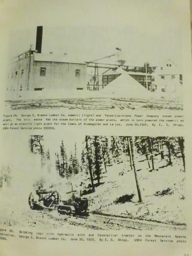 Logging Railroads of the Lincoln National Forest, New Mexico - Picture 6 of 9
