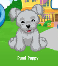 Webkinz Pumi Puppy Code Virtual Adoption Code Only Messaged Webkinz Promo Code 