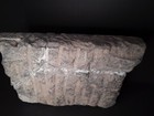 Foto 12 di 12