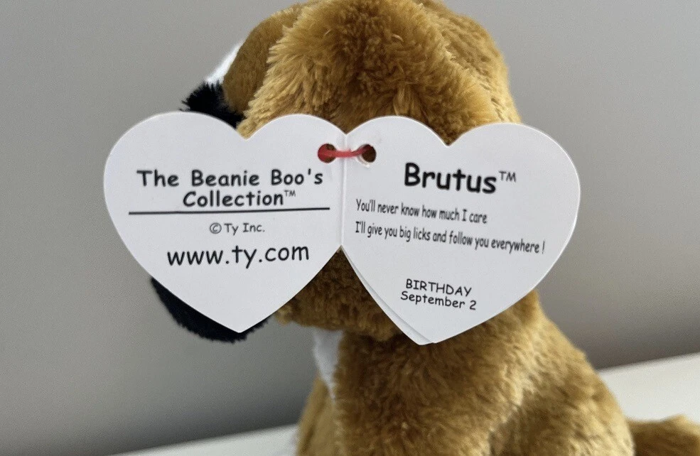 Brutus beanie boo cheap