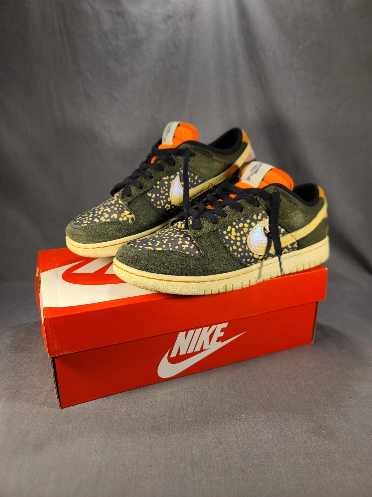 Nike Dunk Low SE FN7523-300 Mens Size 8.5 Gone Fishing Ranbow Trout