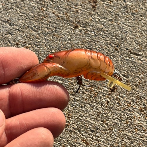 Vintage Rebel Shallow Floater Small Craw Big Craw Fresh Water Fishing - set of 4 - Picture 7 of 13