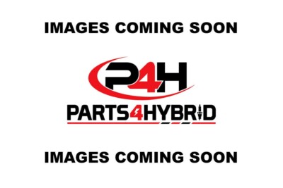 Original Toyota Alphard Hintertür garnieren OEM Teil 53142-53020