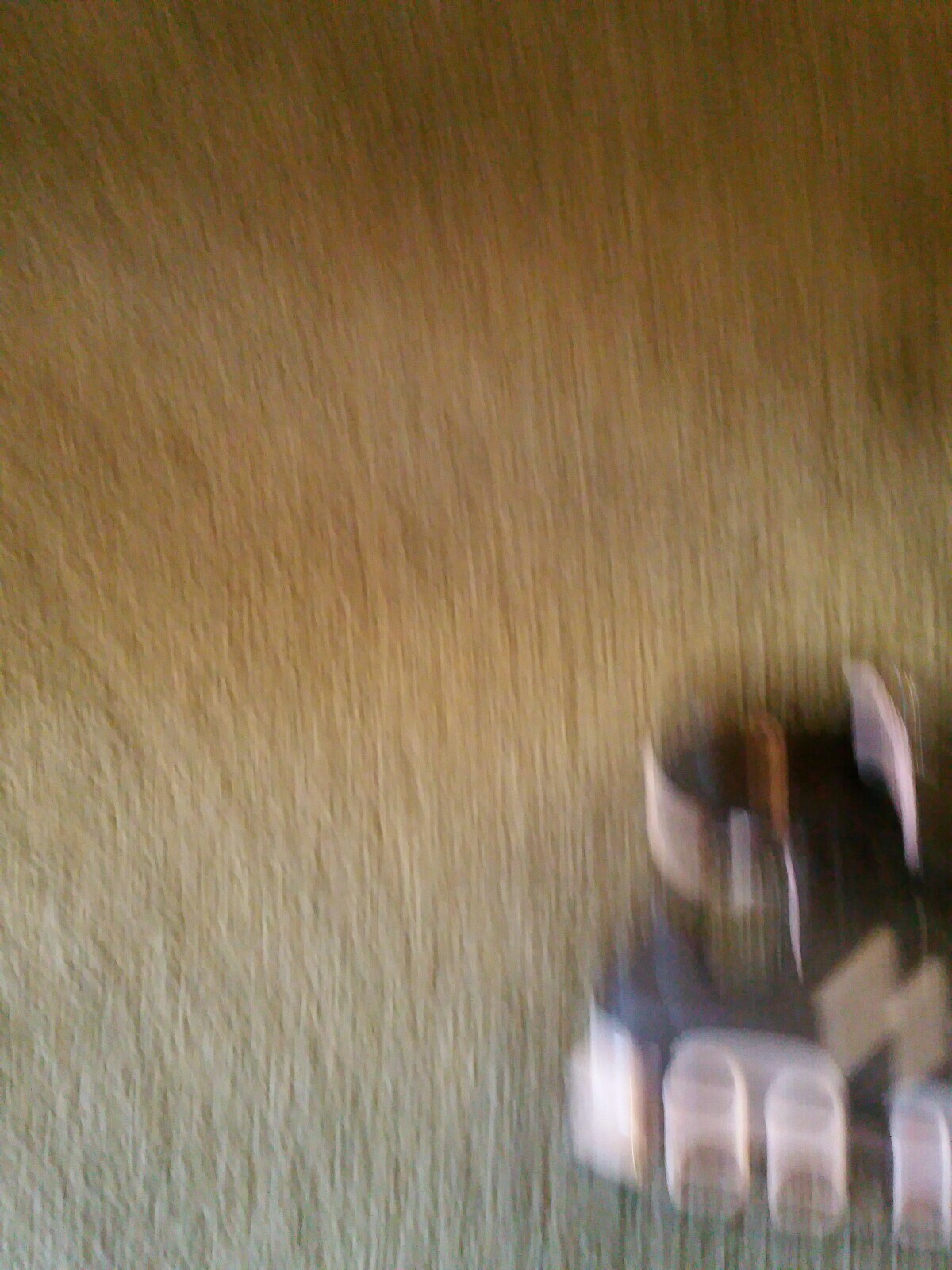 Picture 5 of 12