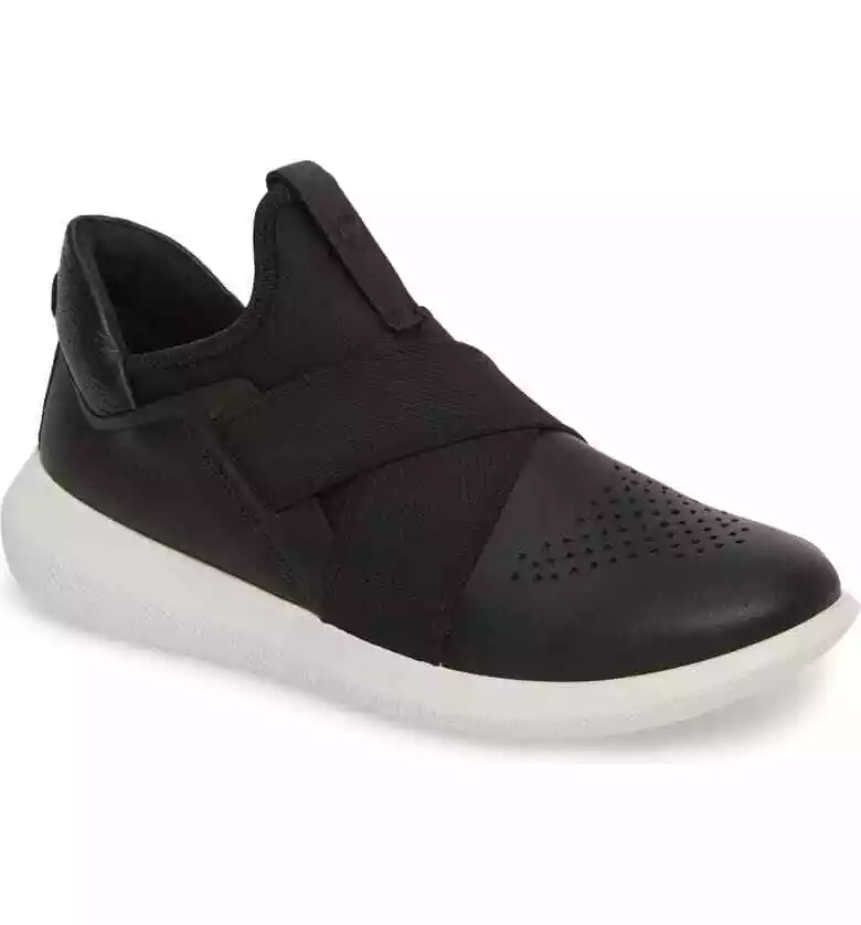 Ecco shop scinapse band