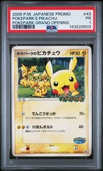 PokePark's Pikachu 043/PCG-P