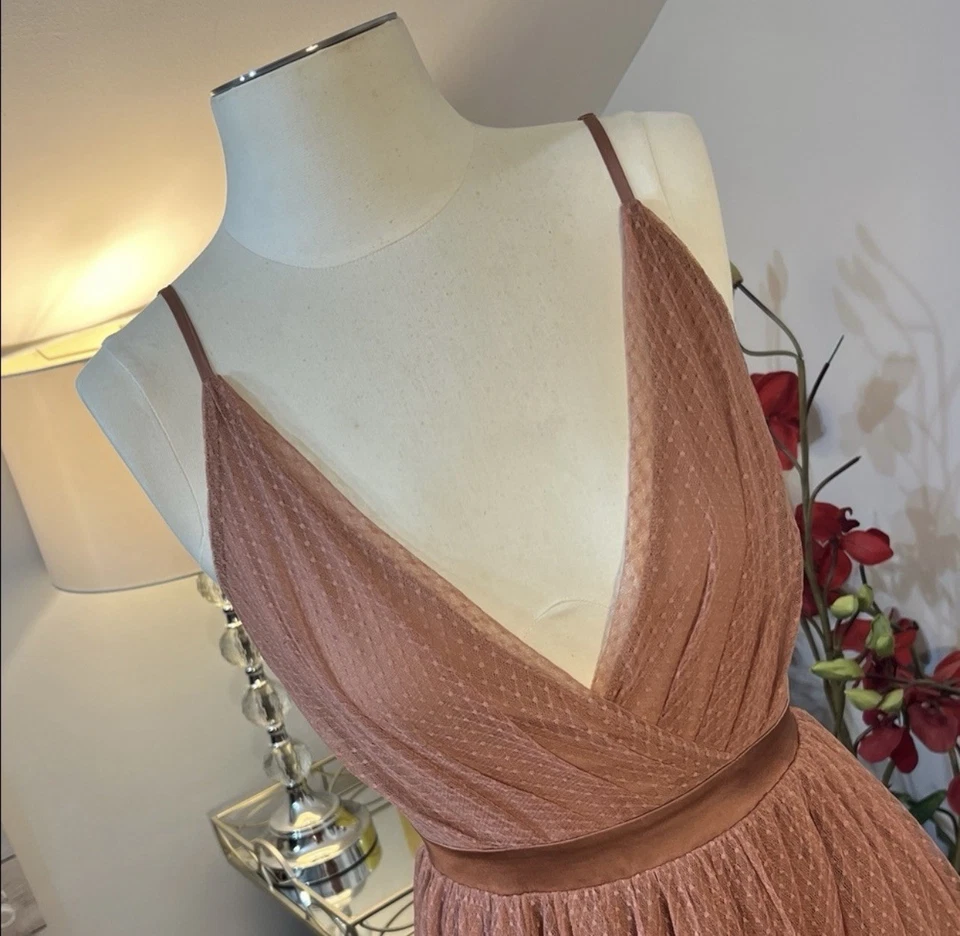 Express 全新带标签 Dusty Rose 薄纱温和连衣裙 — 第 3/4 张图片