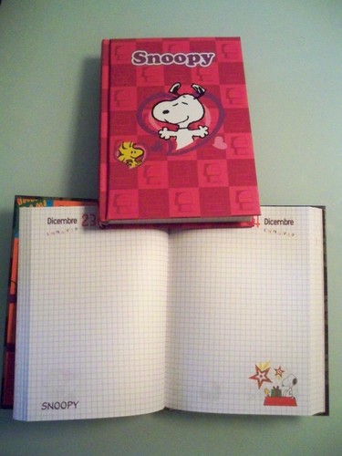 DIARIO AGENDA SCUOLA SEVEN 12 MESI SNOOPY - Picture 2 of 5