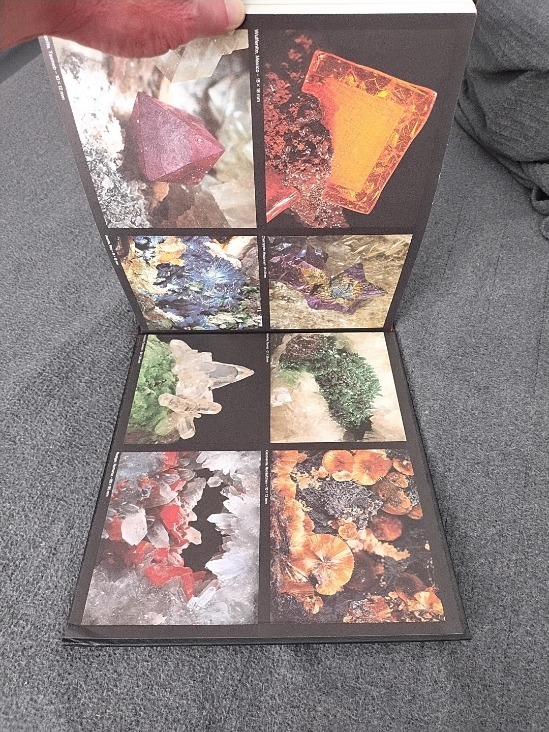 The Magic of Minerals Book Olaf Medenbach Harry Wilk Hardcover