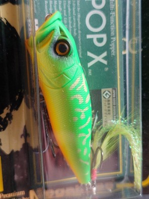Megabass Ito Pop X Arabesque Tiger