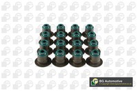 BGA Dichtungssatz Ventilschaft VK3367 FüR Ford Transit Bus V363 FAD FBD FCD FDD