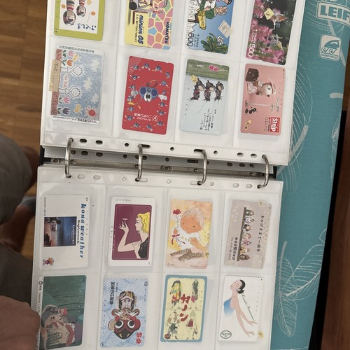 760 Asiatische Telefonkarten mit Ordner - Bild 12 von 23