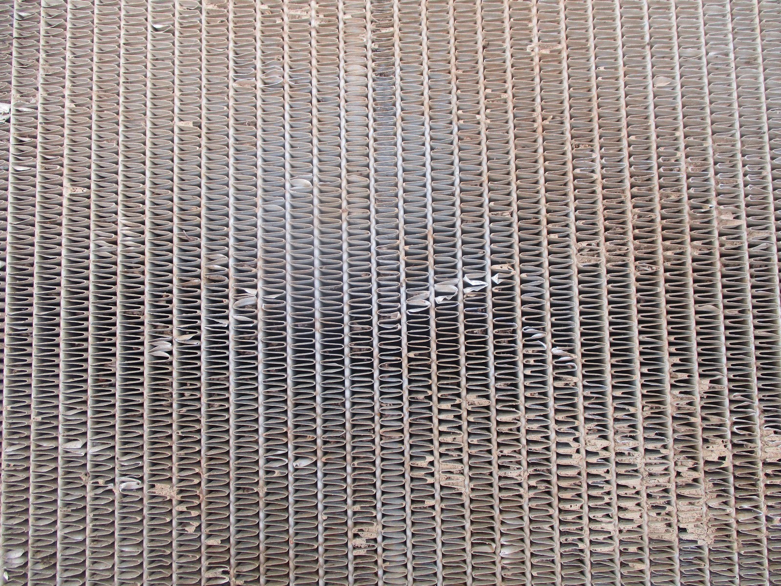 Picture 7 of 8