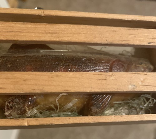 Vintage Rainbow Trout Candy wood crate fishing rare Unique - Picture 3 of 12