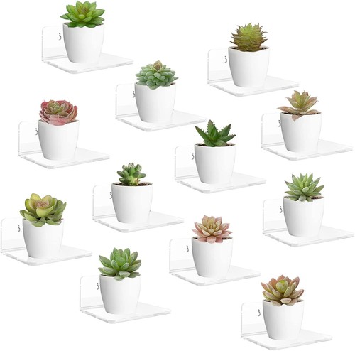 2-12X Small Acrylic Floating Shelves Wall Mounted Plants Picture Display Shelves - Picture 11 of 16
