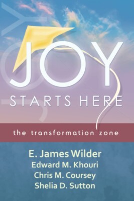 Joy Starts Here: the transformation zone Paperback   2013 by Dr E. James Wild...