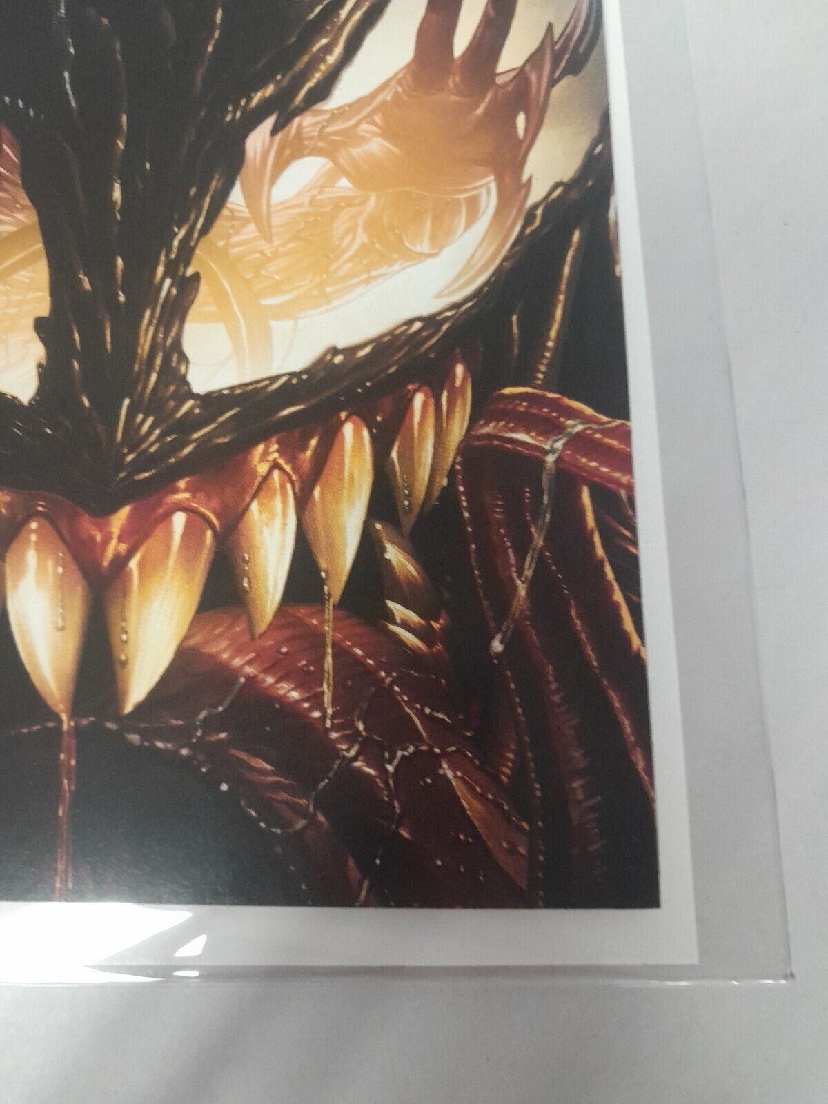 Picture 5 of 11