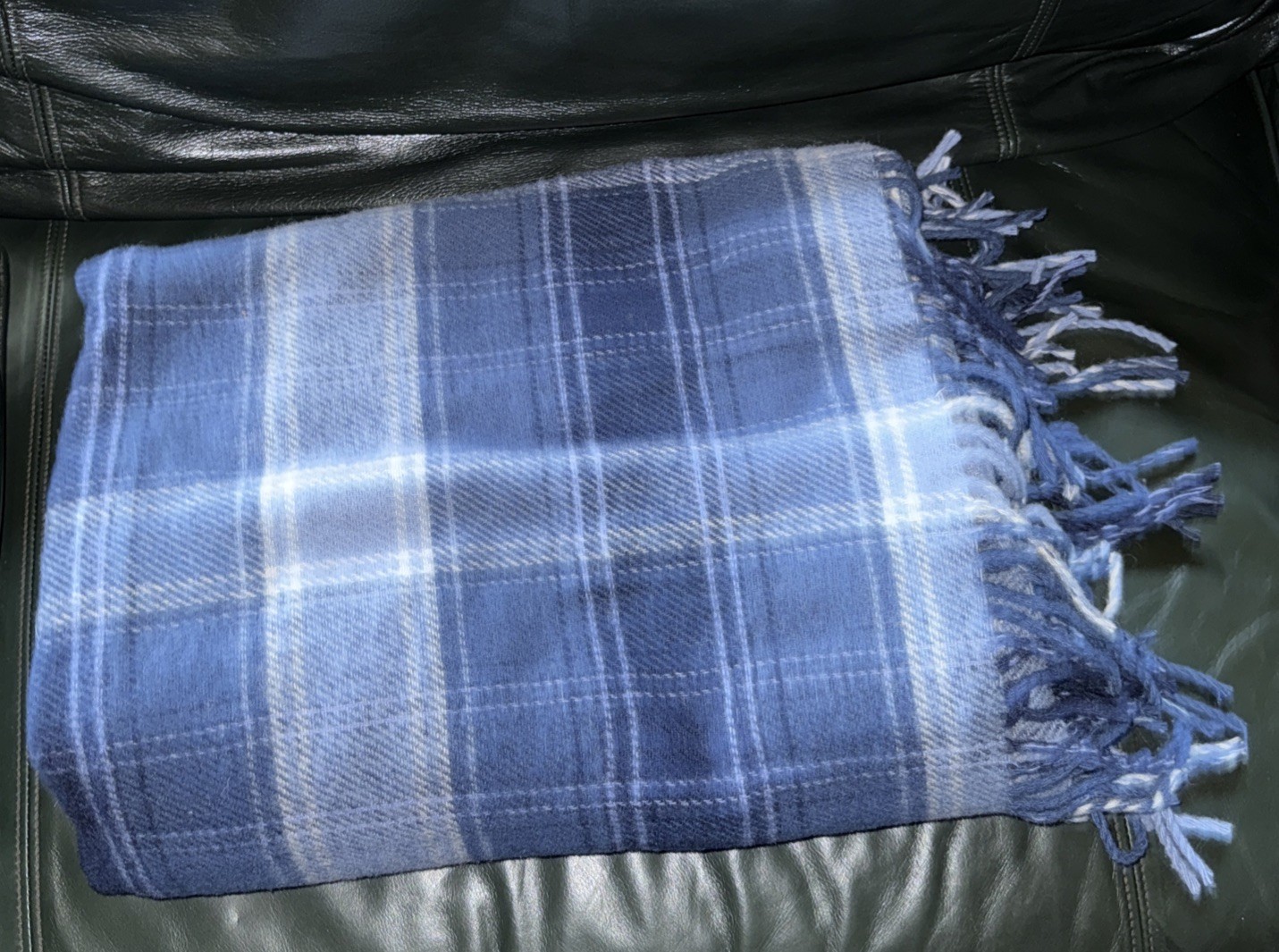 Picture 4 of 4
