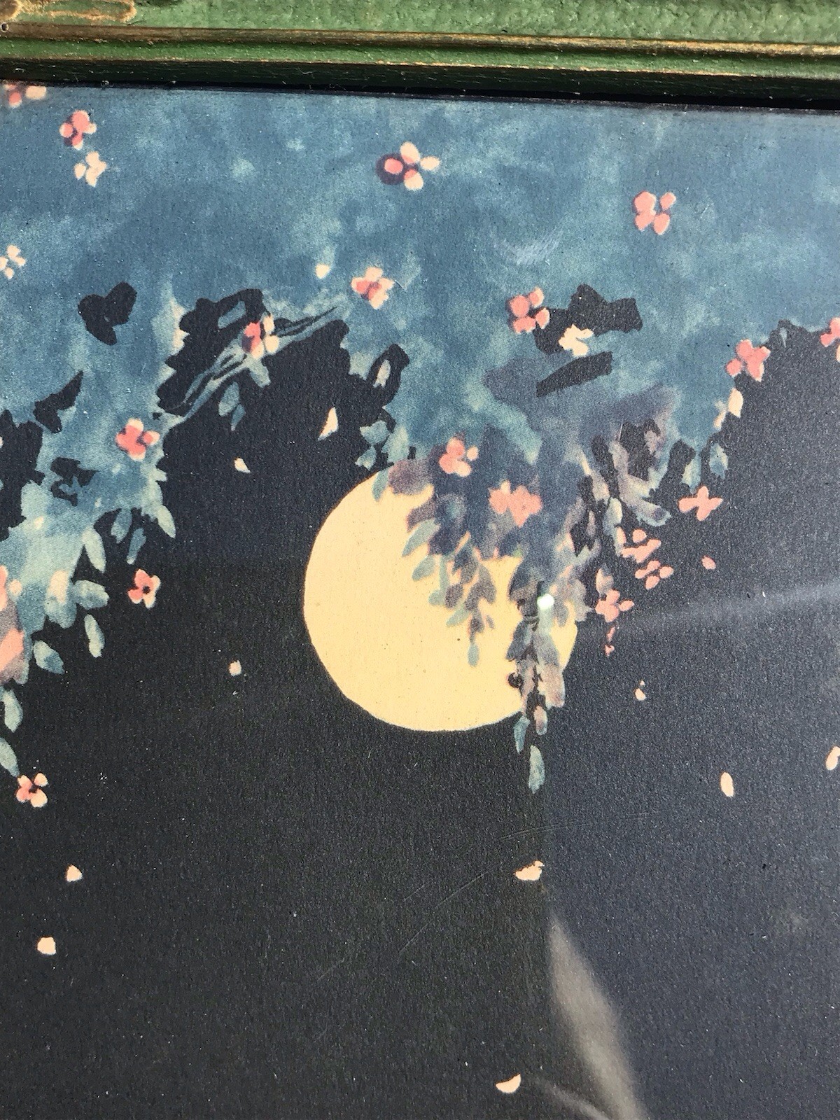 Picture 5 of 16