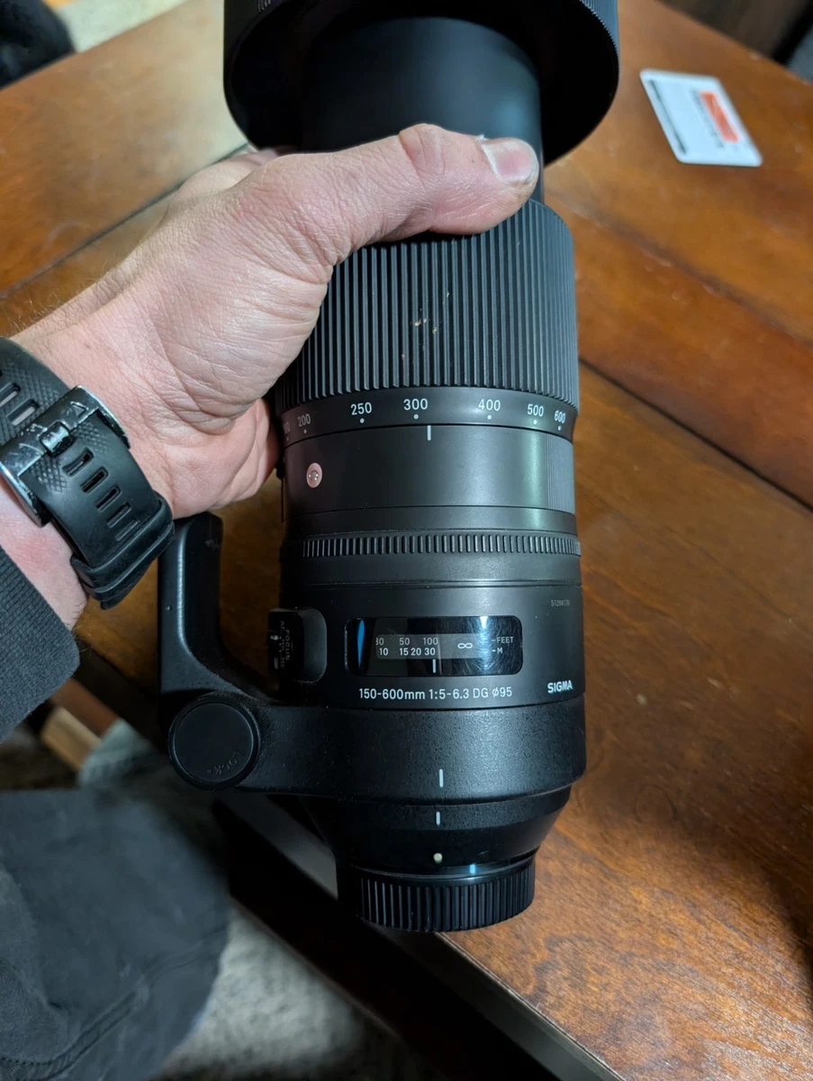 Sigma 150-600mm Focal Camera Lenses for sale | eBay