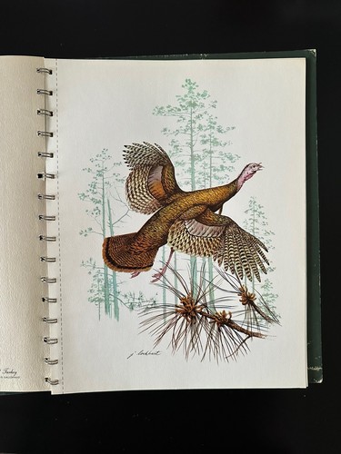 Portraits Of Nature 1973 By James Lockhart 8 Removable Animal Prints - Picture 4 of 11