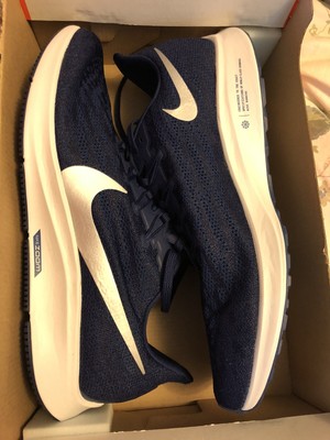 pegasus 36 blue void