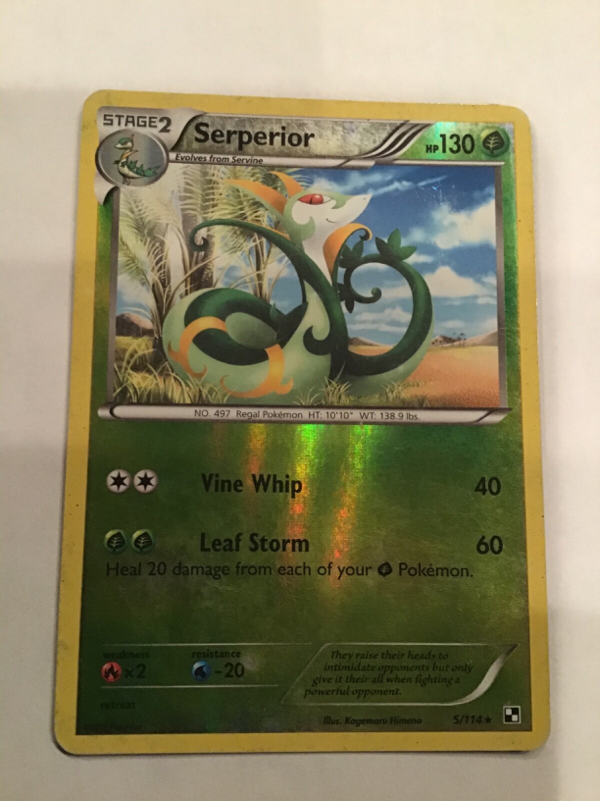 Pokémon TCG Serperior 5/114 Reverse Holo Black & White Base Set 2011