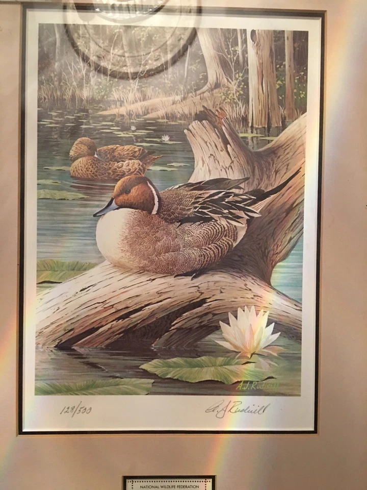 1987 NATL WILDLIFE FED CONSERVATION STAMP Signed And Numbered128/500A.J.RUDISILL - Image 2 of 4