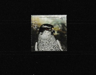 Estonia 2005 Goshawk UM