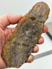 Coprolite Petrified Dino DoDo Slab Cabbing Lapidary Utah Combo Ship Avail