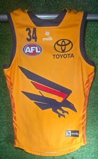 Sid Draper 2025 Adelaide Crows Gold training Guernsey #34