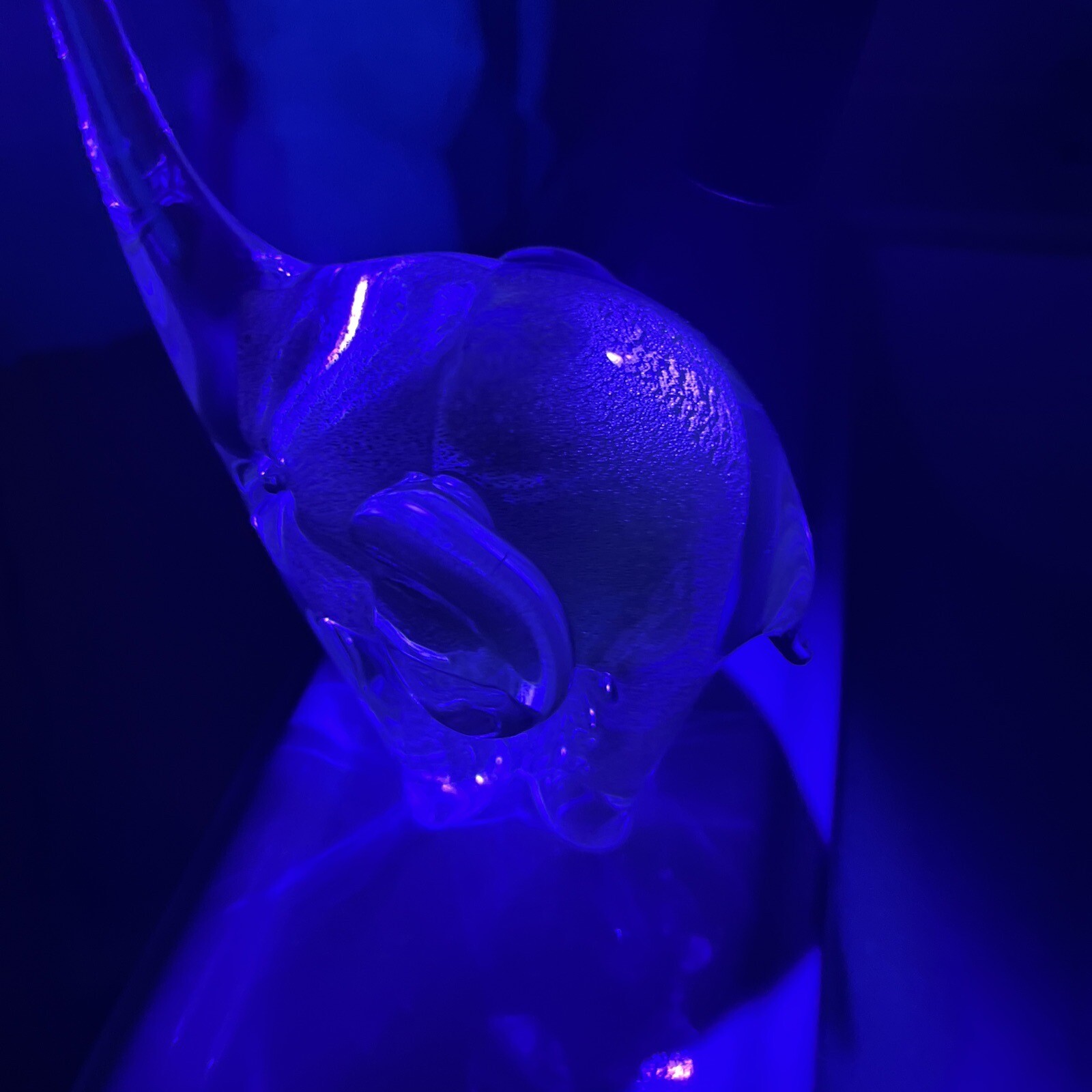 Picture 11 of 11